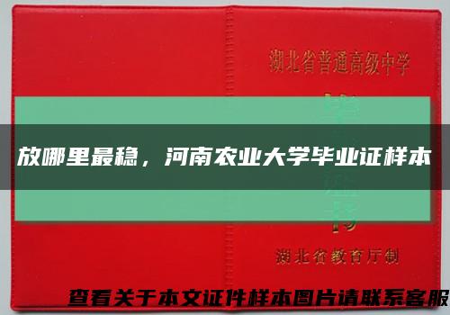 放哪里最穩，河南農業大學畢業證樣本縮略圖