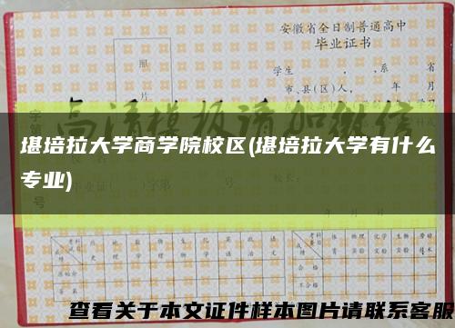 堪培拉大學商學院校區(堪培拉大學有什么專業)縮略圖