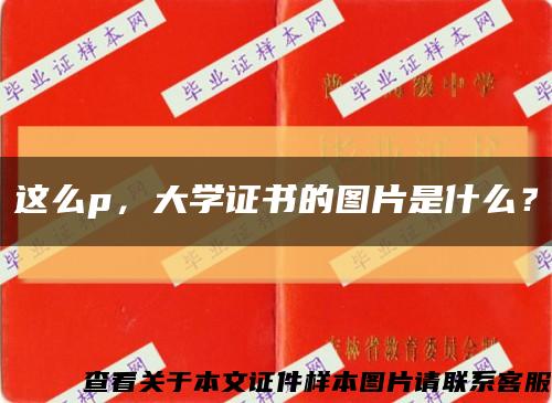 這么p，大學證書的圖片是什么？縮略圖