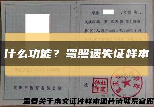 什么功能？駕照遺失證樣本縮略圖