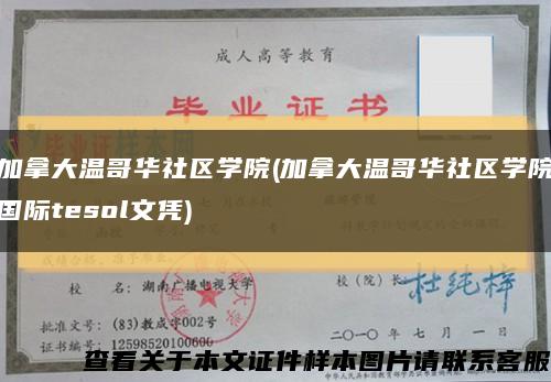 加拿大溫哥華社區學院(加拿大溫哥華社區學院國際tesol文憑)縮略圖
