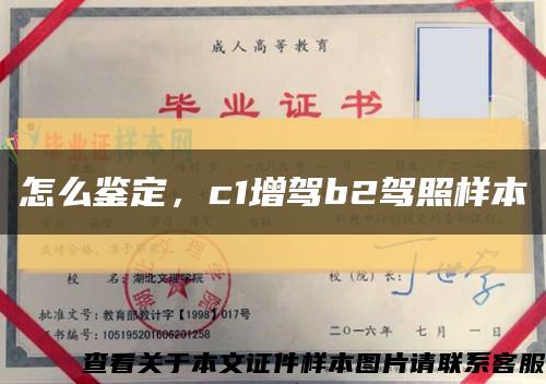 怎么鑒定，c1增駕b2駕照樣本縮略圖