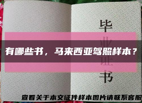 有哪些書，馬來西亞駕照樣本？縮略圖