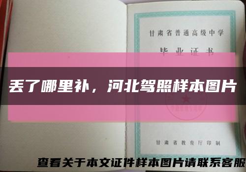 丟了哪里補，河北駕照樣本圖片縮略圖