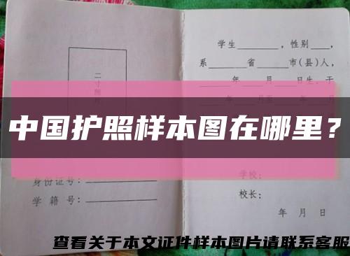 中國護照樣本圖在哪里？縮略圖