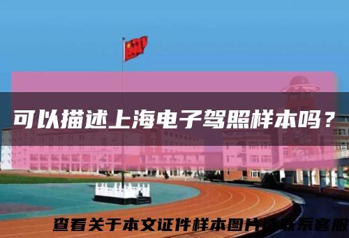可以描述上海電子駕照樣本嗎？縮略圖