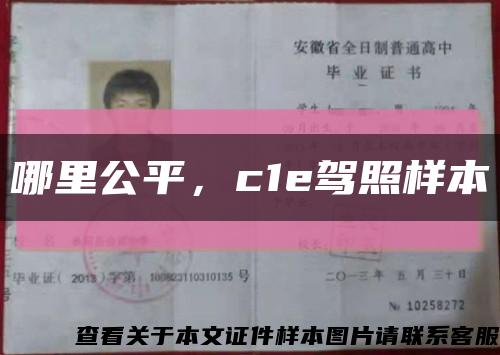 哪里公平，c1e駕照樣本縮略圖