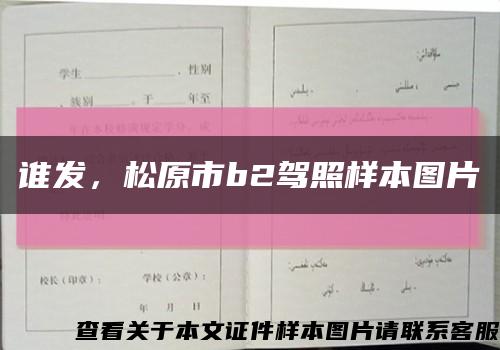 誰發，松原市b2駕照樣本圖片縮略圖