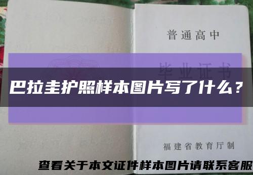 巴拉圭護照樣本圖片寫了什么？縮略圖