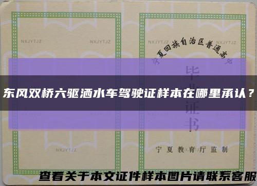 東風雙橋六驅灑水車駕駛證樣本在哪里承認？縮略圖