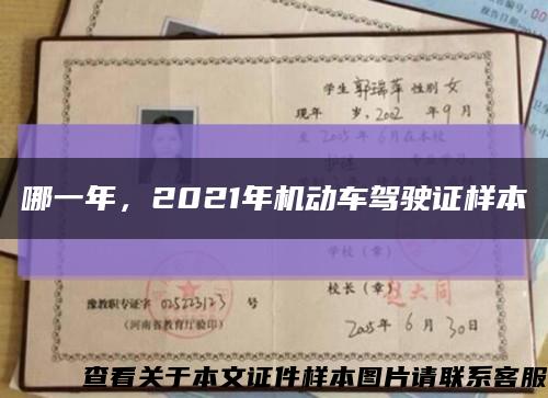 哪一年，2021年機動車駕駛證樣本縮略圖