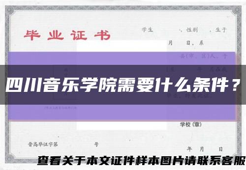 四川音樂學院需要什么條件？縮略圖