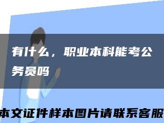 有什么，職業本科能考公務員嗎縮略圖