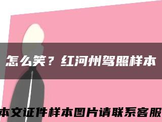 怎么笑？紅河州駕照樣本縮略圖