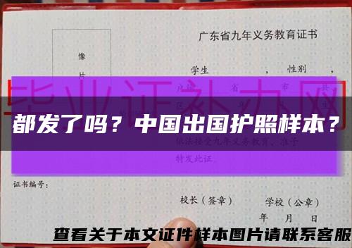 都發了嗎？中國出國護照樣本？縮略圖