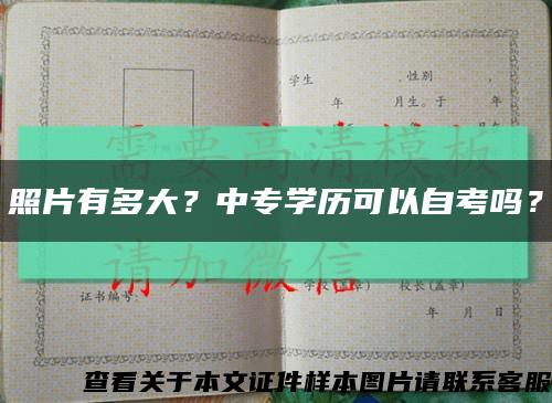 照片有多大？中專學歷可以自考嗎？縮略圖