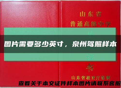 圖片需要多少英寸，泉州駕照樣本縮略圖