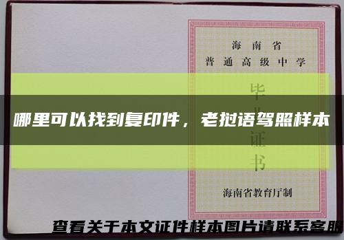 哪里可以找到復印件，老撾語駕照樣本縮略圖