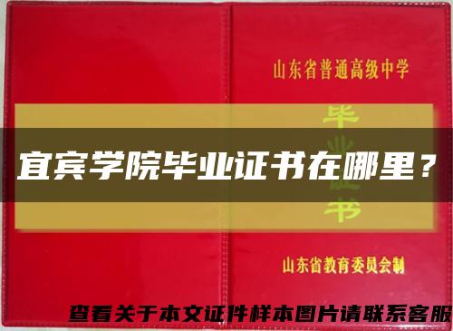 宜賓學院畢業證書在哪里？縮略圖