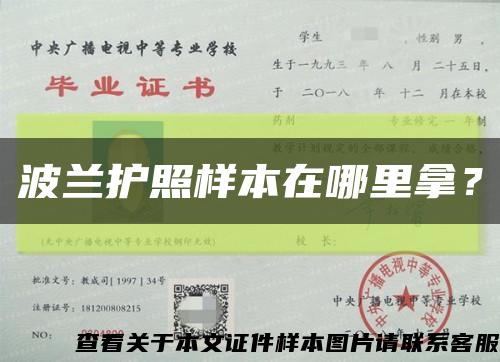 波蘭護照樣本在哪里拿？縮略圖