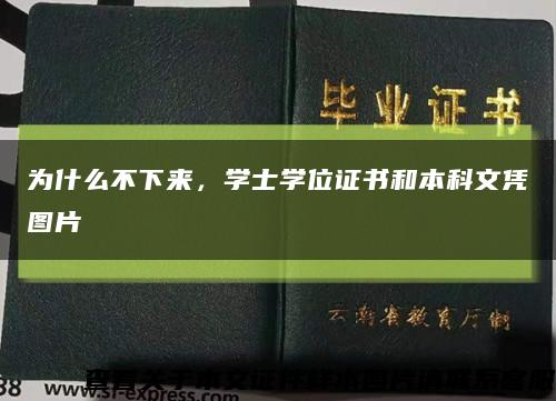 為什么不下來，學士學位證書和本科文憑圖片縮略圖