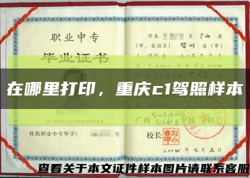 在哪里打印，重慶c1駕照樣本縮略圖