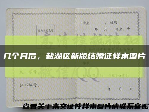 幾個月后，鹽湖區新版結婚證樣本圖片縮略圖