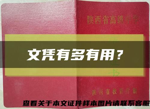 文憑有多有用？縮略圖