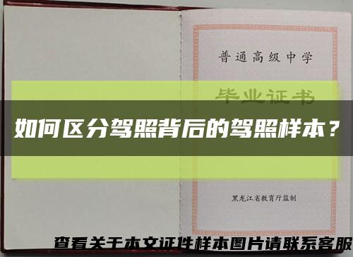 如何區分駕照背后的駕照樣本？縮略圖