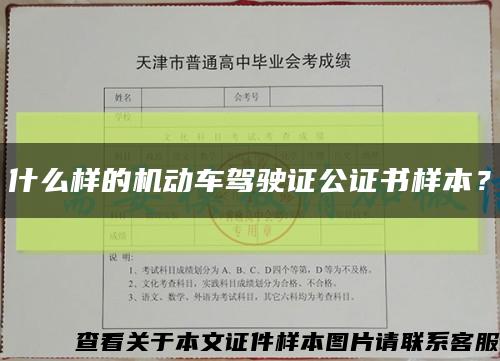 什么樣的機動車駕駛證公證書樣本？縮略圖