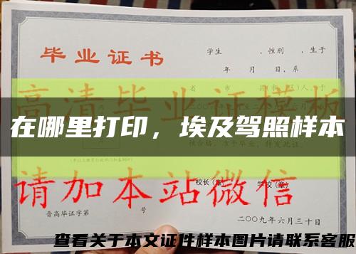 在哪里打印，埃及駕照樣本縮略圖