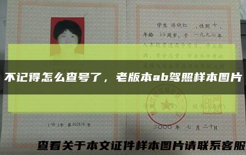 不記得怎么查號了，老版本ab駕照樣本圖片縮略圖