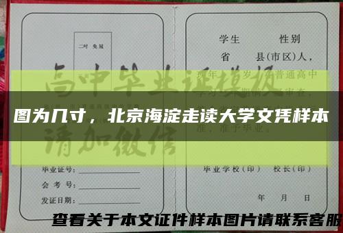 圖為幾寸，北京海淀走讀大學文憑樣本縮略圖