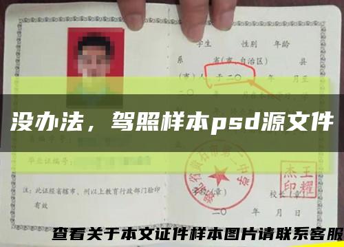 沒辦法，駕照樣本psd源文件縮略圖