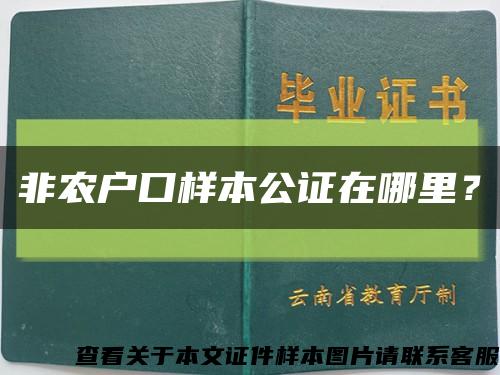 非農戶口樣本公證在哪里？縮略圖