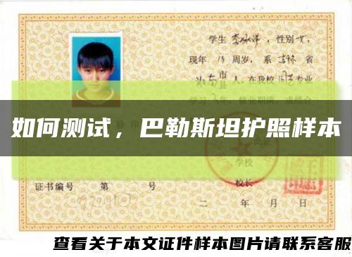 如何測試，巴勒斯坦護照樣本縮略圖