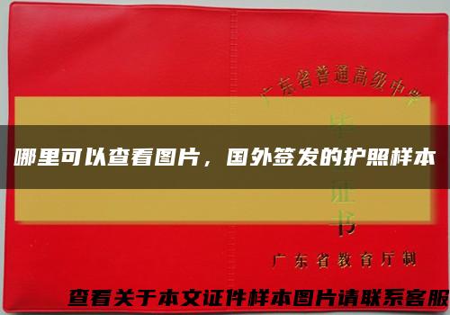 哪里可以查看圖片，國外簽發的護照樣本縮略圖