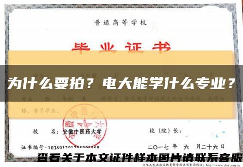 為什么要拍？電大能學什么專業？縮略圖
