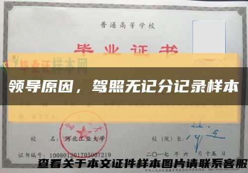 領導原因，駕照無記分記錄樣本縮略圖