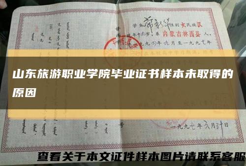 山東旅游職業學院畢業證書樣本未取得的原因縮略圖
