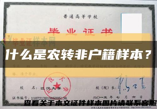 什么是農轉非戶籍樣本？縮略圖