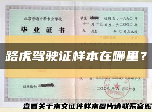 路虎駕駛證樣本在哪里？縮略圖