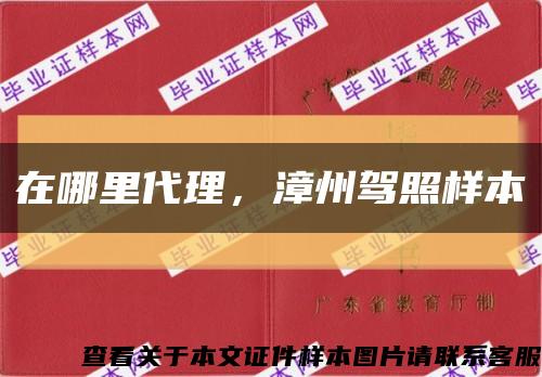 在哪里代理，漳州駕照樣本縮略圖