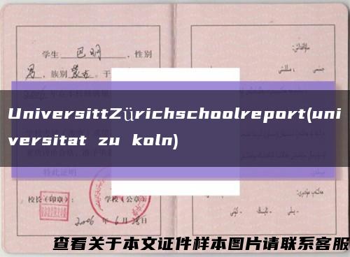 UniversittZürichschoolreport(universitat zu koln)縮略圖