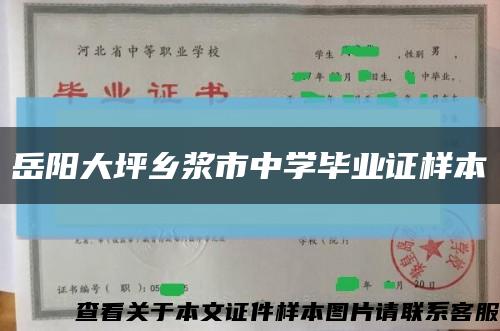 岳陽大坪鄉漿市中學畢業證樣本縮略圖