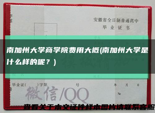 南加州大學商學院費用大概(南加州大學是什么樣的呢？)縮略圖