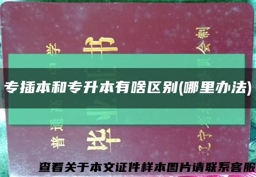 專插本和專升本有啥區別(哪里辦法)縮略圖