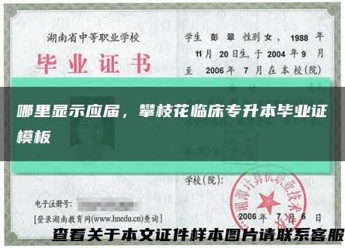 哪里顯示應屆，攀枝花臨床專升本畢業證模板縮略圖