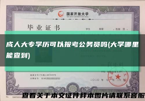 成人大專學歷可以報考公務員嗎(大學哪里能查到)縮略圖