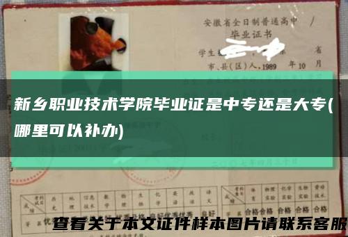 新鄉職業技術學院畢業證是中專還是大專(哪里可以補辦)縮略圖